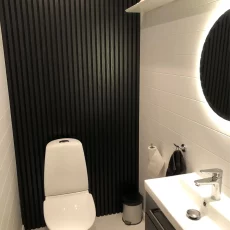 Ribbon-Wood Black Diamond Ash on the wall in guest toilet